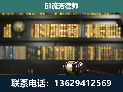 泸水-经济类案件